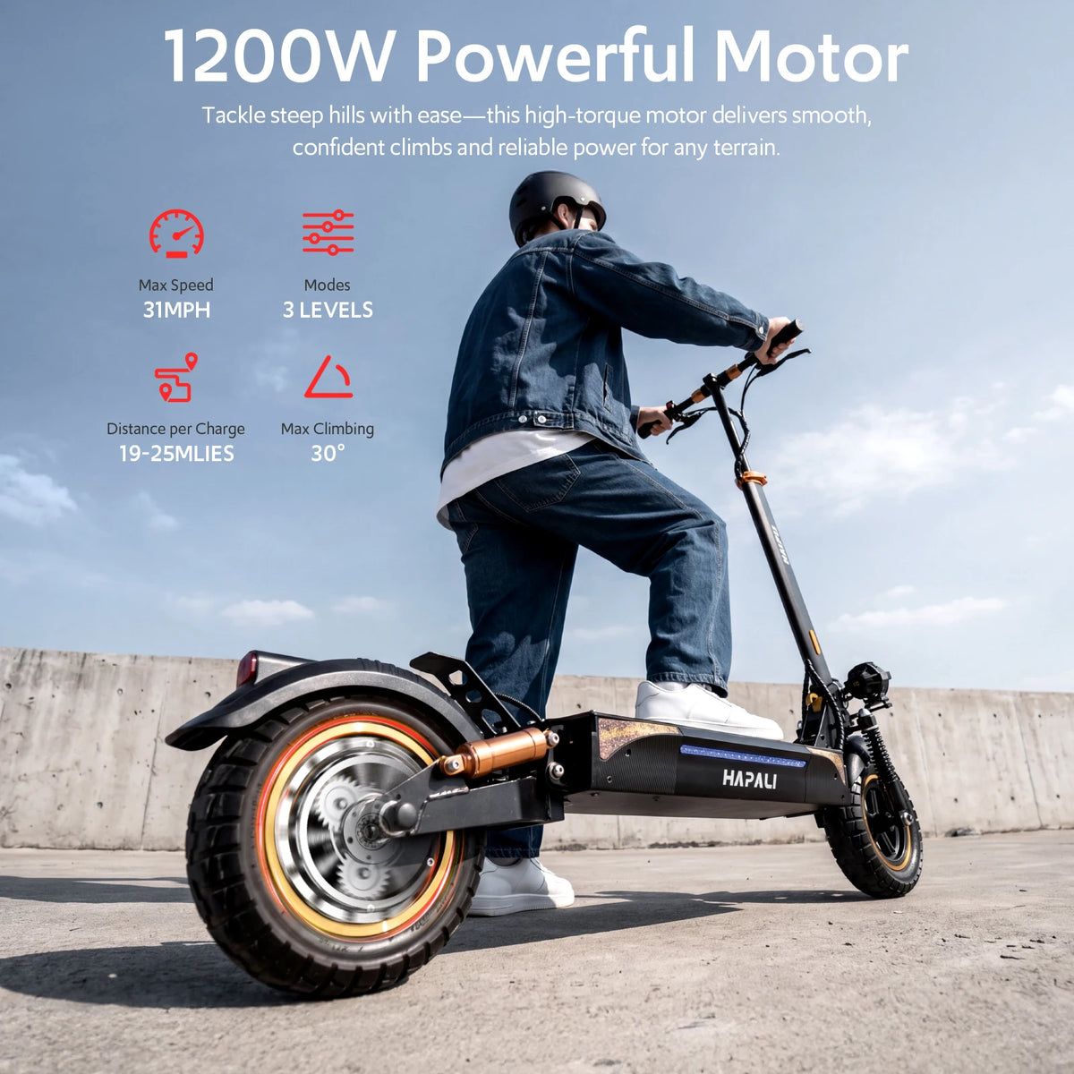 Osboo Off Road Folding Electric Scooter With Dual Suspension