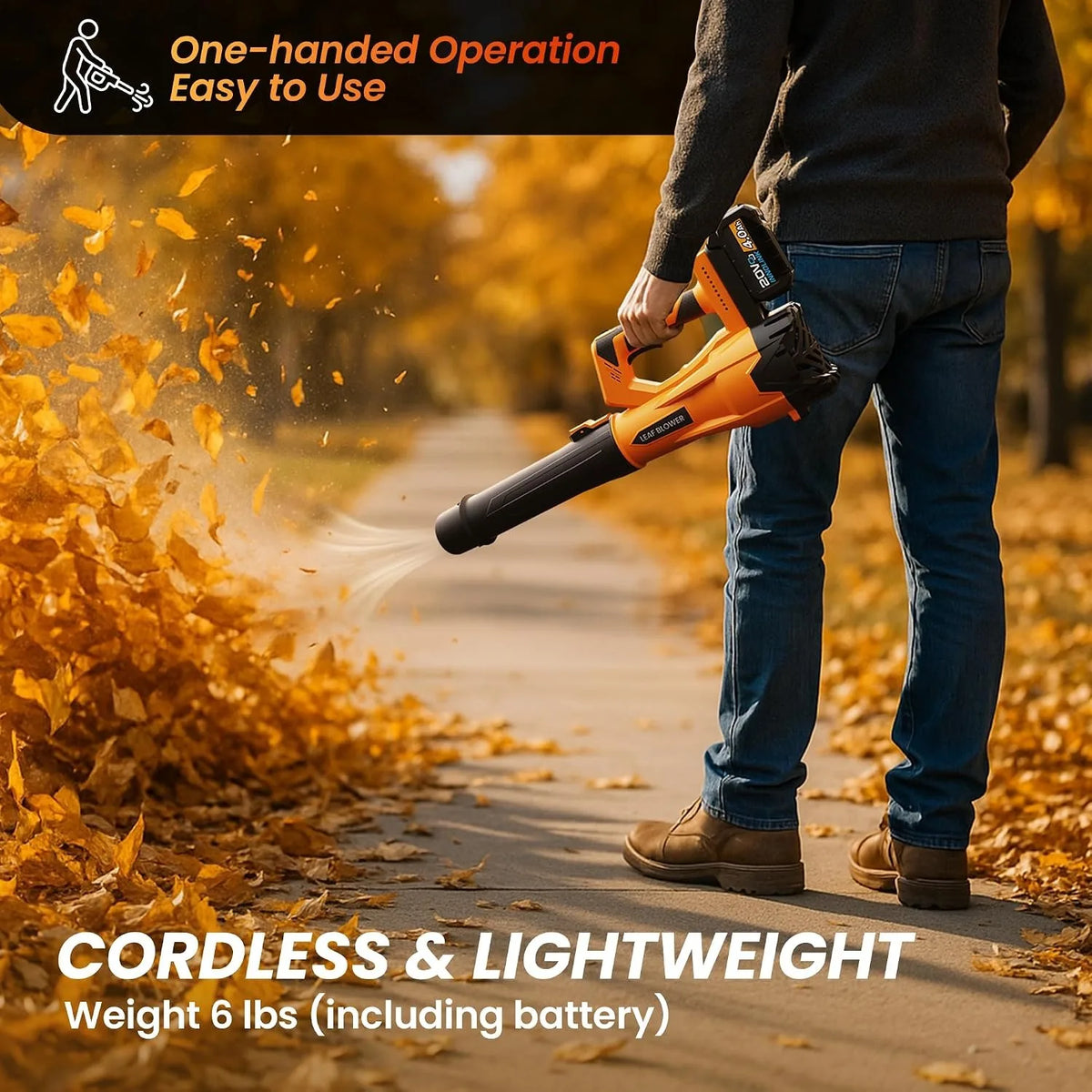 Deli Cordless Handheld Leaf Blower With 2 Batteries And Charger